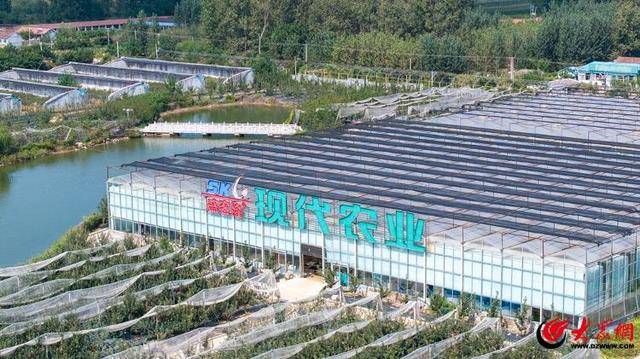 青岛西海岸新区大场镇：物联网“赋农”，撑起“智”富梦