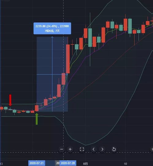 波瑞币投资(瑞波币xpy)