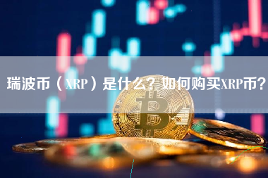 瑞波币的交易平台的简单介绍