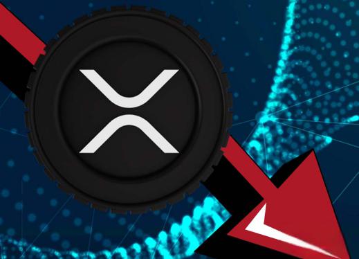 xrp瑞波币最新消息从哪里看的简单介绍
