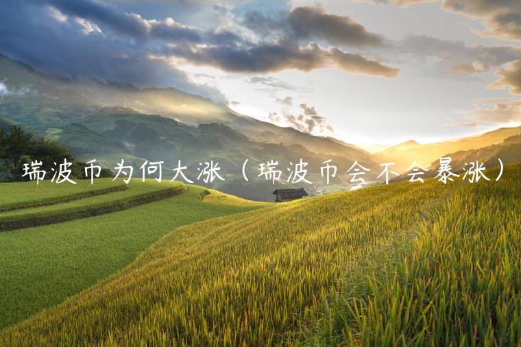 手机如何购买瑞波币(手机上怎么购买瑞波币)