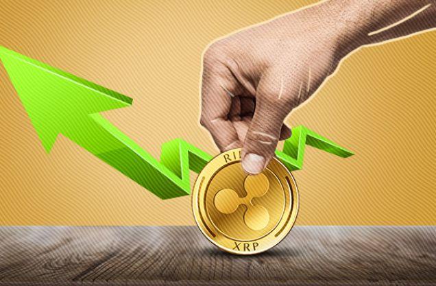 关于瑞波币跟艾达币哪个更适合投资的信息